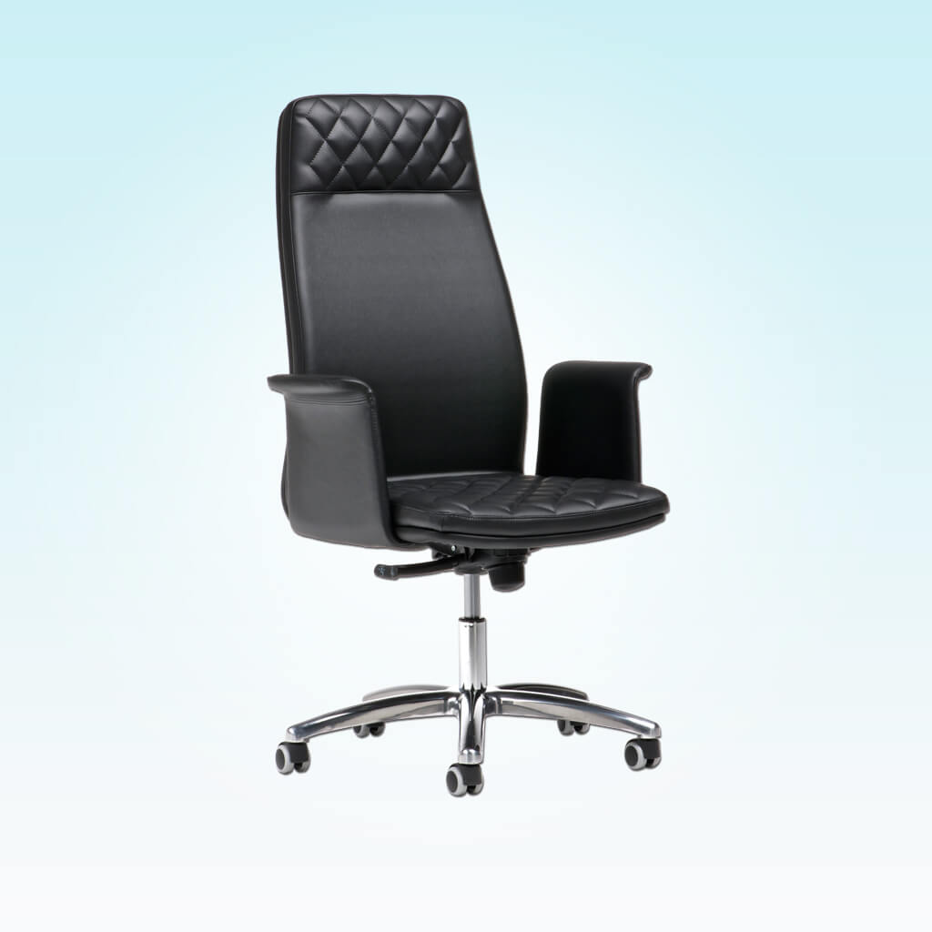 Lucas Upholstered Black Swivel Desk Chair with High Backrest